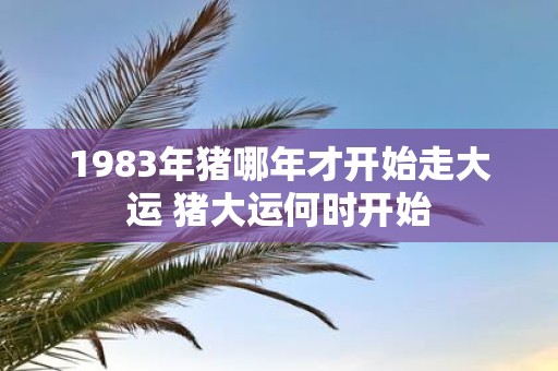 1983年猪哪年才开始走大运 猪大运何时开始
