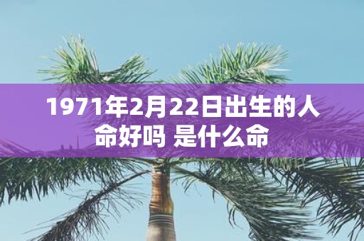 1971年2月22日出生的人命好吗 是什么命