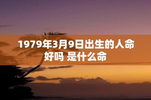 1979年3月9日出生的人命好吗 是什么命