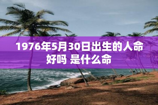1976年5月30日出生的人命好吗 是什么命