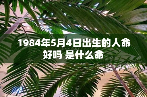 1984年5月4日出生的人命好吗 是什么命