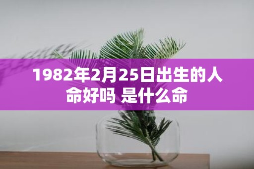 1982年2月25日出生的人命好吗 是什么命