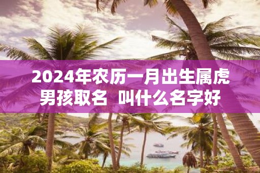 2025年农历一月出生属虎男孩取名 叫什么名字好