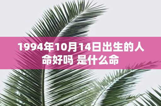 1994年10月14日出生的人命好吗 是什么命