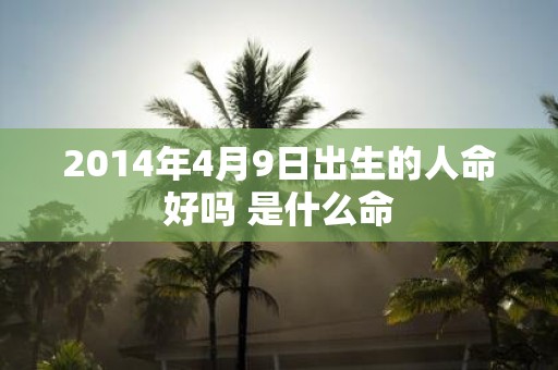 2014年4月9日出生的人命好吗 是什么命