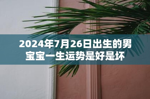 2025年7月26日出生的男宝宝一生运势是好是坏