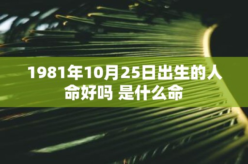 1981年10月25日出生的人命好吗 是什么命