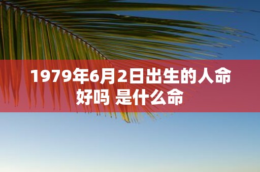 1979年6月2日出生的人命好吗 是什么命