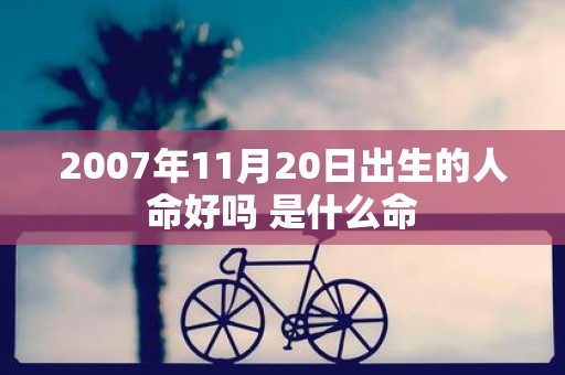 2007年11月20日出生的人命好吗 是什么命