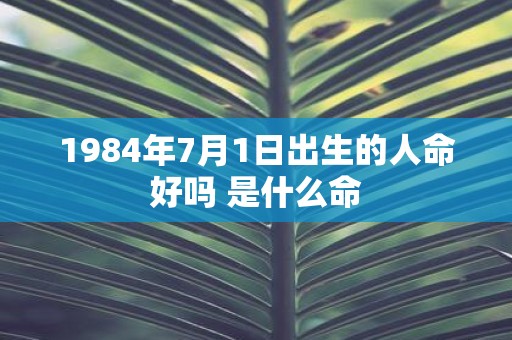 1984年7月1日出生的人命好吗 是什么命