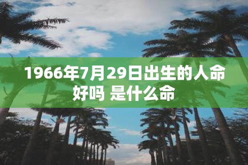 1966年7月29日出生的人命好吗 是什么命
