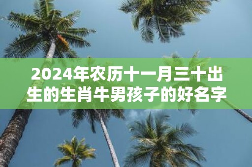 2025年农历十一月三十出生的生肖牛男孩子的好名字