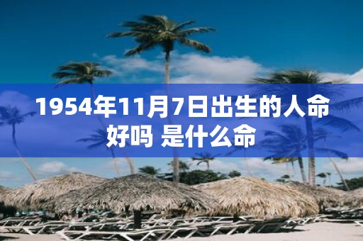 1954年11月7日出生的人命好吗 是什么命