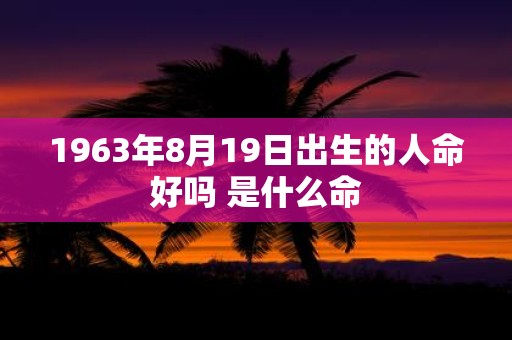 1963年8月19日出生的人命好吗 是什么命
