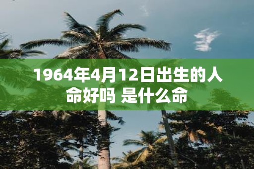 1964年4月12日出生的人命好吗 是什么命