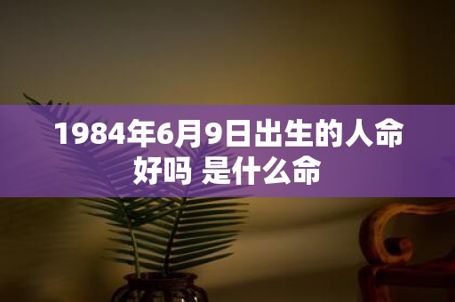 1984年6月9日出生的人命好吗 是什么命