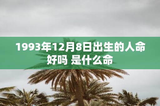1993年12月8日出生的人命好吗 是什么命