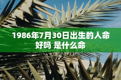 1986年7月30日出生的人命好吗 是什么命
