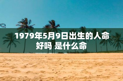 1979年5月9日出生的人命好吗 是什么命