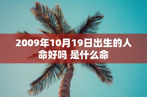2009年10月19日出生的人命好吗 是什么命