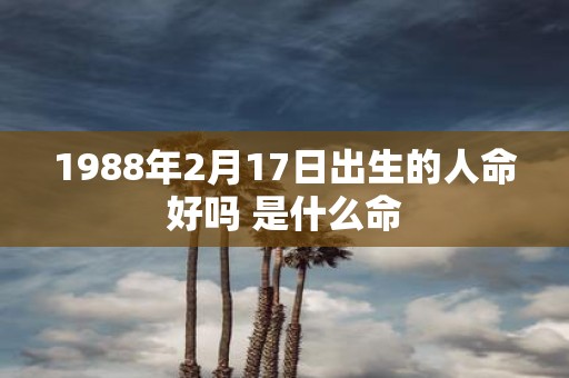 1988年2月17日出生的人命好吗 是什么命