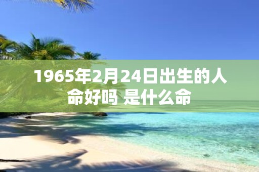 1965年2月24日出生的人命好吗 是什么命
