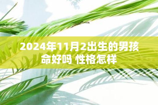 2025年11月2出生的男孩命好吗 性格怎样