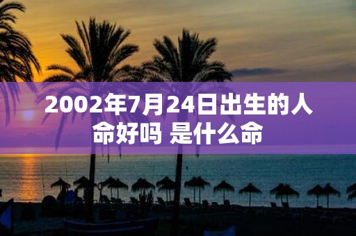 2002年7月24日出生的人命好吗 是什么命