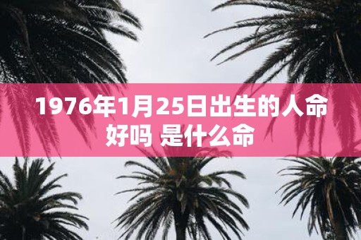 1976年1月25日出生的人命好吗 是什么命