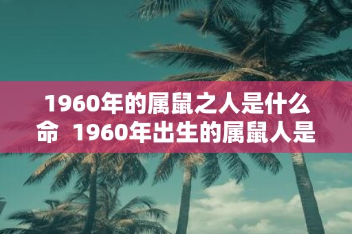 1960年的属鼠之人是什么命 1960年出生的属鼠人是什么命