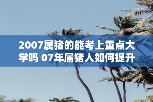 2007属猪的能考上重点大学吗 07年属猪人如何提升学习运