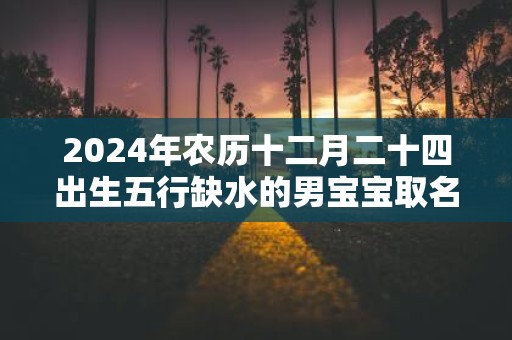 2025年农历十二月二十四出生五行缺水的男宝宝取名字