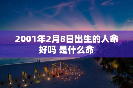 2001年2月8日出生的人命好吗 是什么命