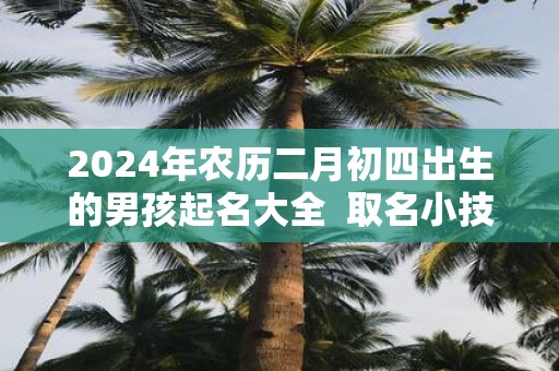 2025年农历二月初四出生的男孩起名大全 取名小技巧