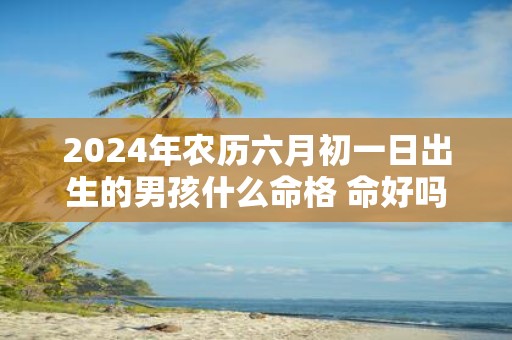 2025年农历六月初一日出生的男孩什么命格 命好吗