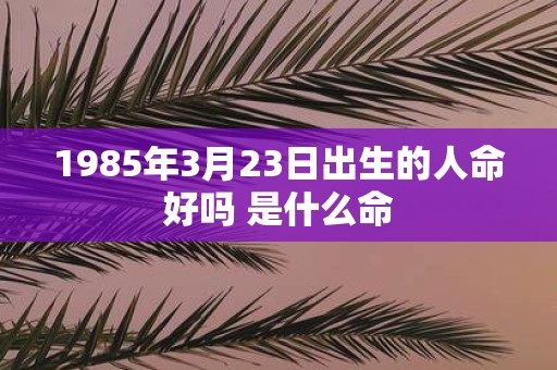 1985年3月23日出生的人命好吗 是什么命
