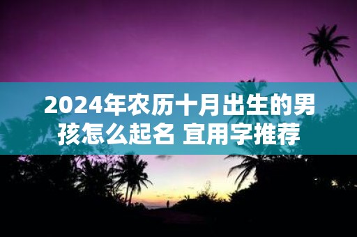 2025年农历十月出生的男孩怎么起名 宜用字推荐