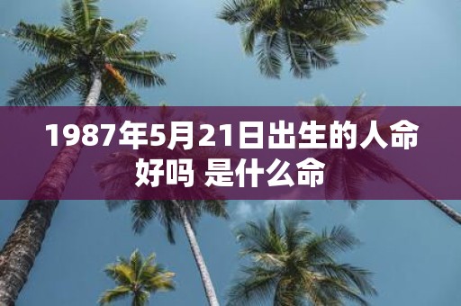 1987年5月21日出生的人命好吗 是什么命