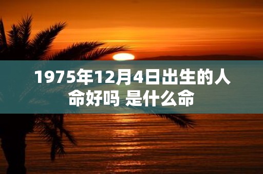 1975年12月4日出生的人命好吗 是什么命