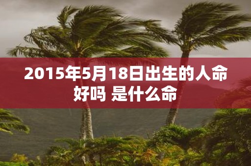 2015年5月18日出生的人命好吗 是什么命