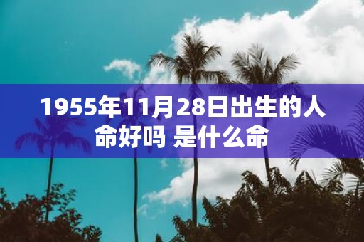 1955年11月28日出生的人命好吗 是什么命