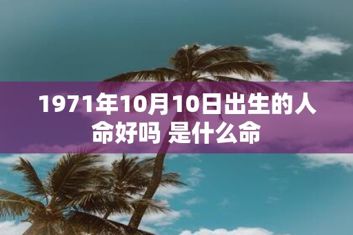 1971年10月10日出生的人命好吗 是什么命