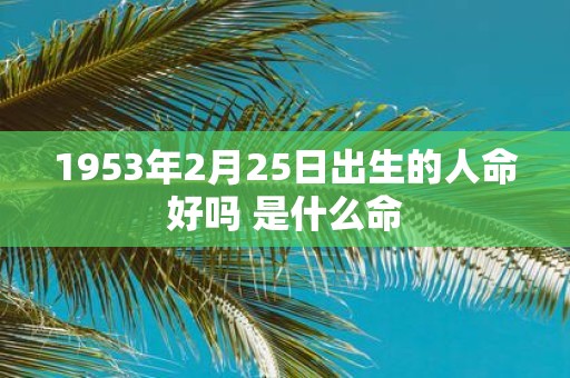 1953年2月25日出生的人命好吗 是什么命