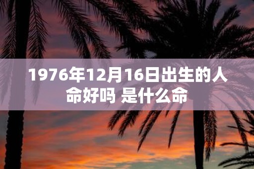 1976年12月16日出生的人命好吗 是什么命