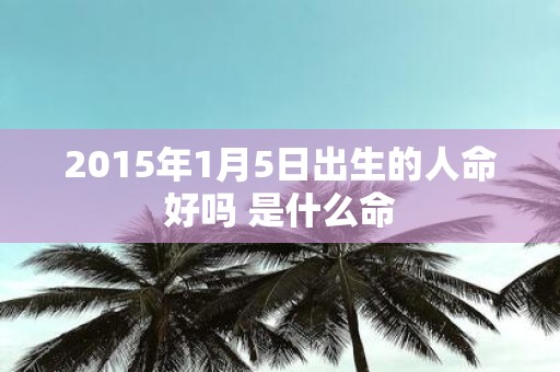 2015年1月5日出生的人命好吗 是什么命