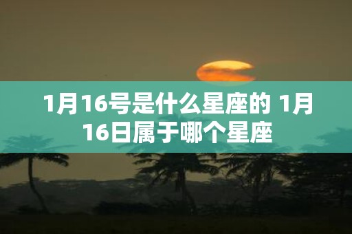 1月16号是什么星座的 1月16日属于哪个星座