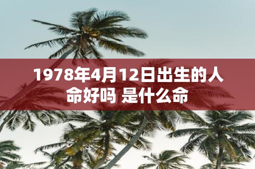1978年4月12日出生的人命好吗 是什么命