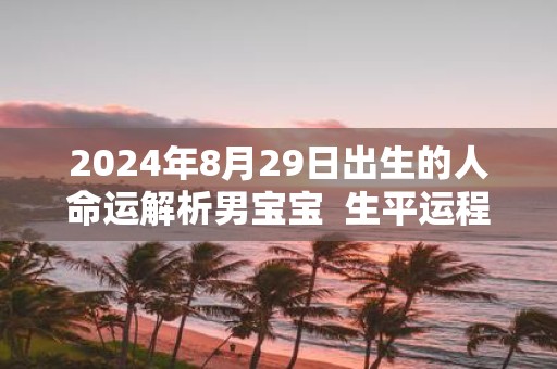 2025年8月29日出生的人命运解析男宝宝 生平运程分析