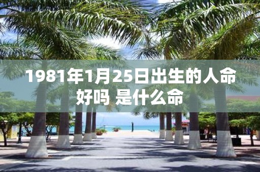 1981年1月25日出生的人命好吗 是什么命