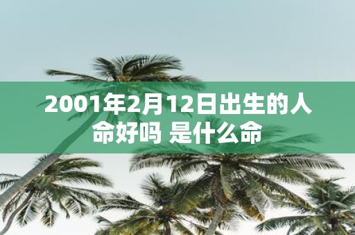 2001年2月12日出生的人命好吗 是什么命